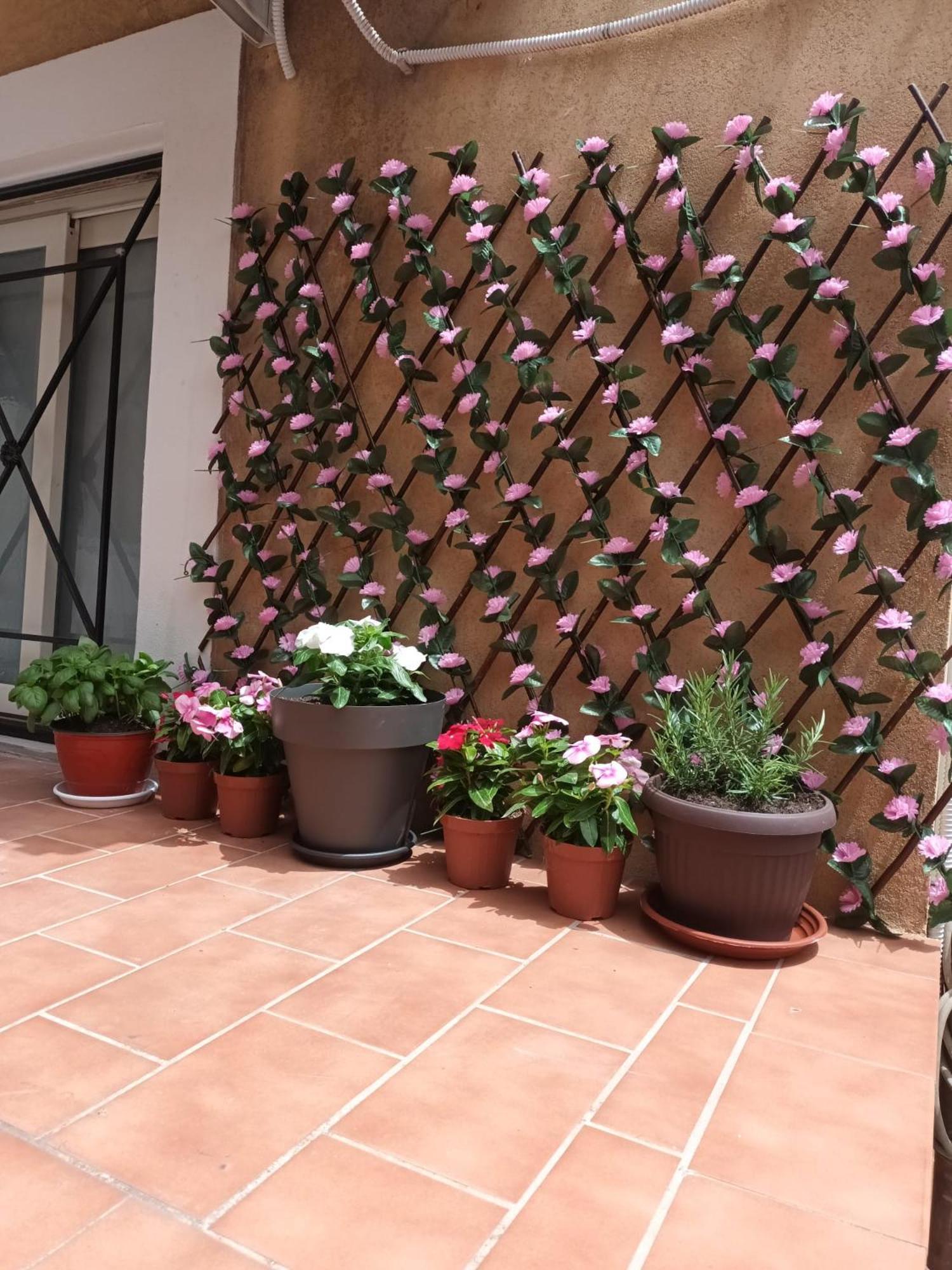 Le Case Del Cortile كاتانيا المظهر الخارجي الصورة